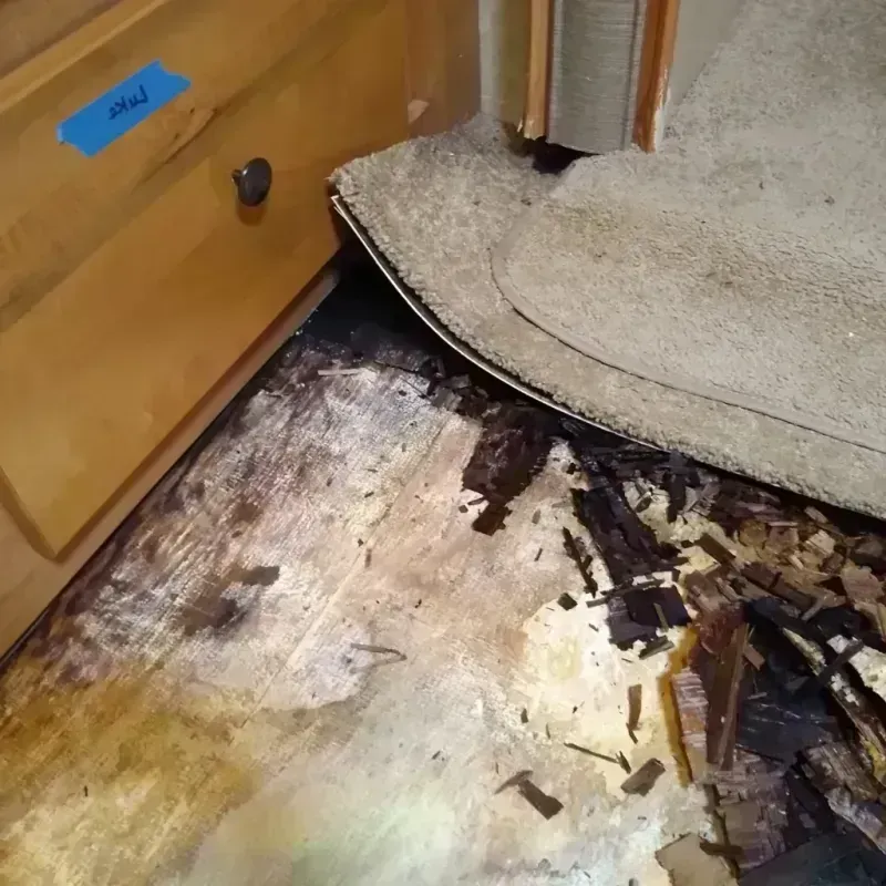 Wood Floor Water Damage in Hollywood Park, TX